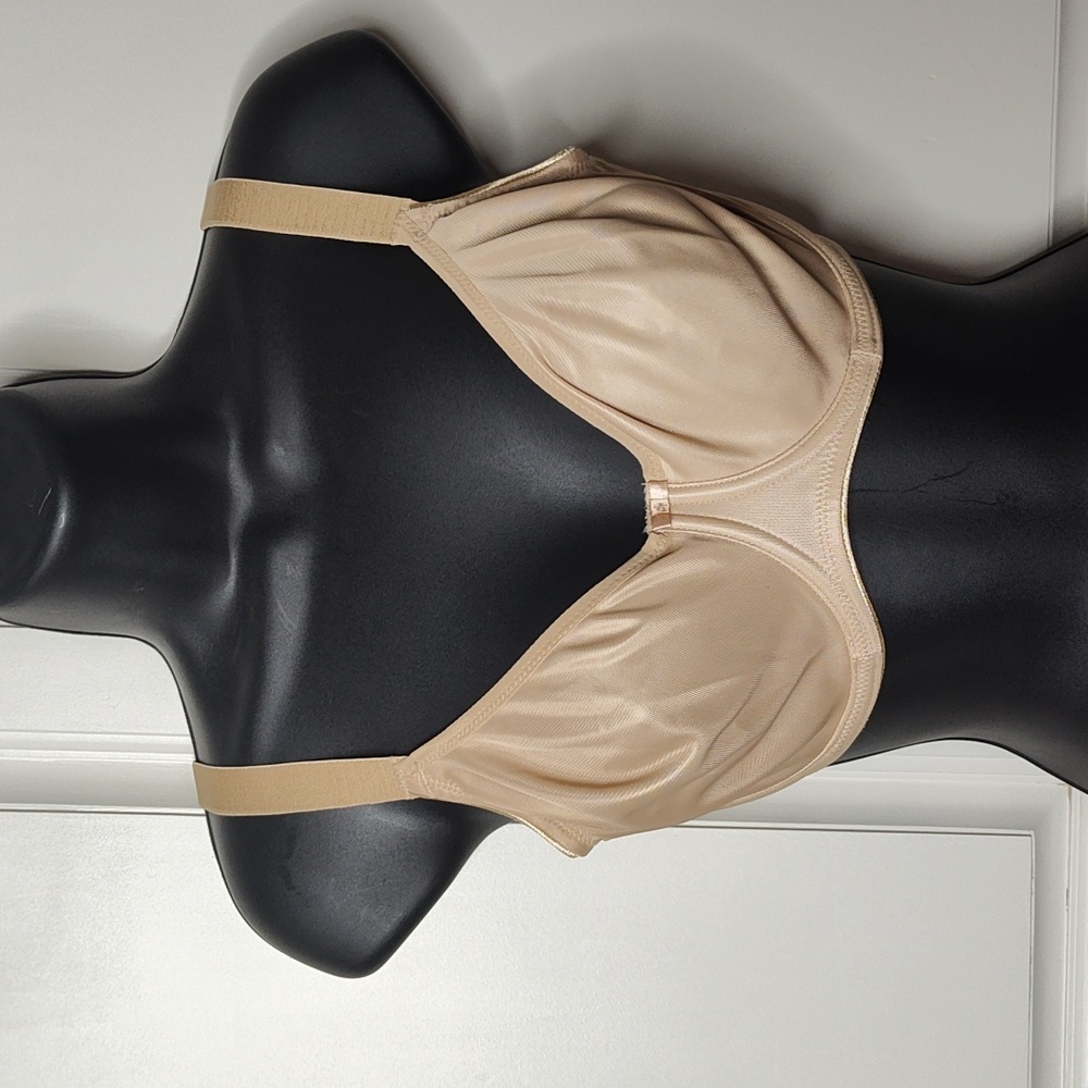 Fantasie Bra. 30G